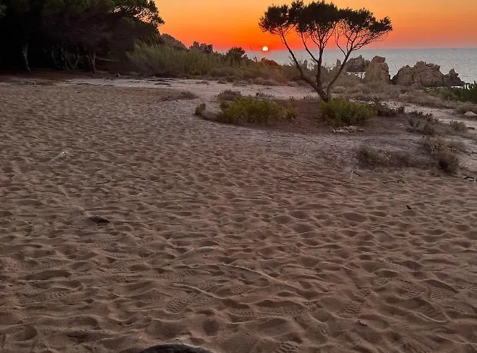 L'oleandro 2922 House In Sardinia With Mediterranean Sea Views